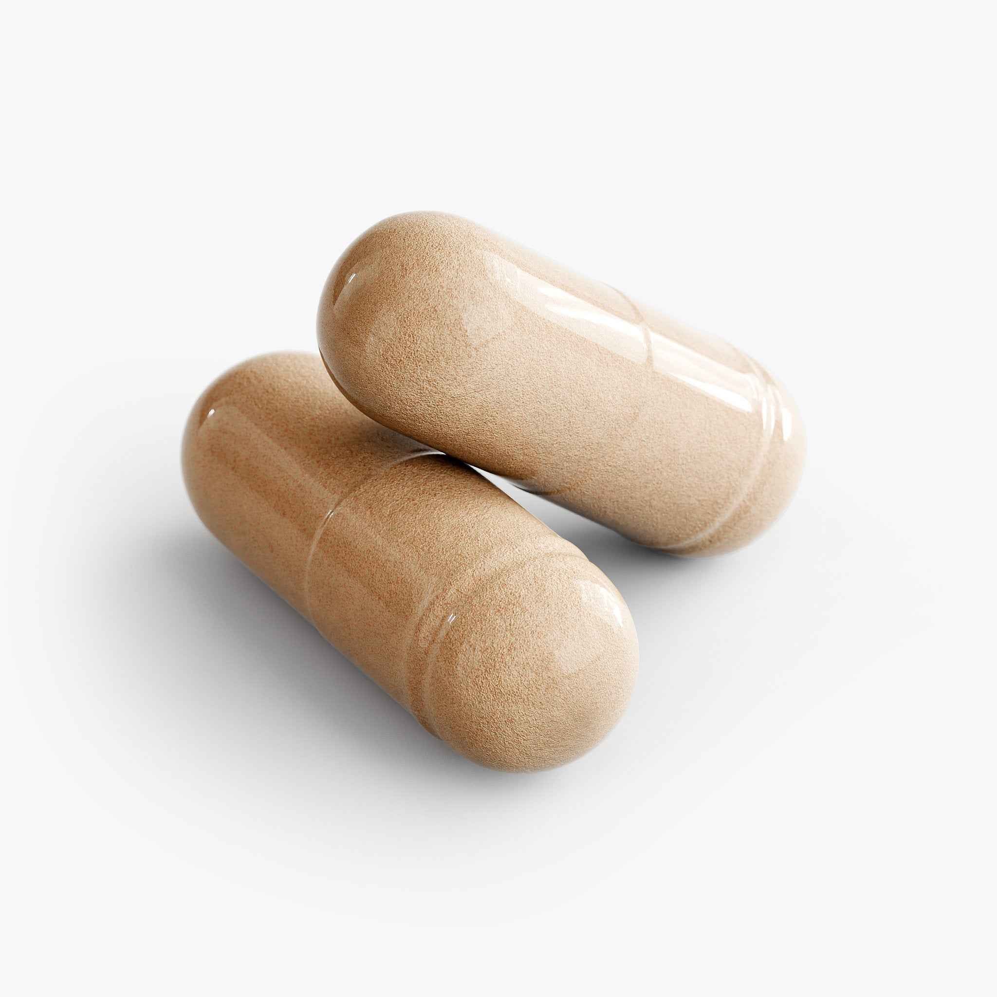 Vitalidad Natural Mushroom Complex 10 X, 60 Capsules