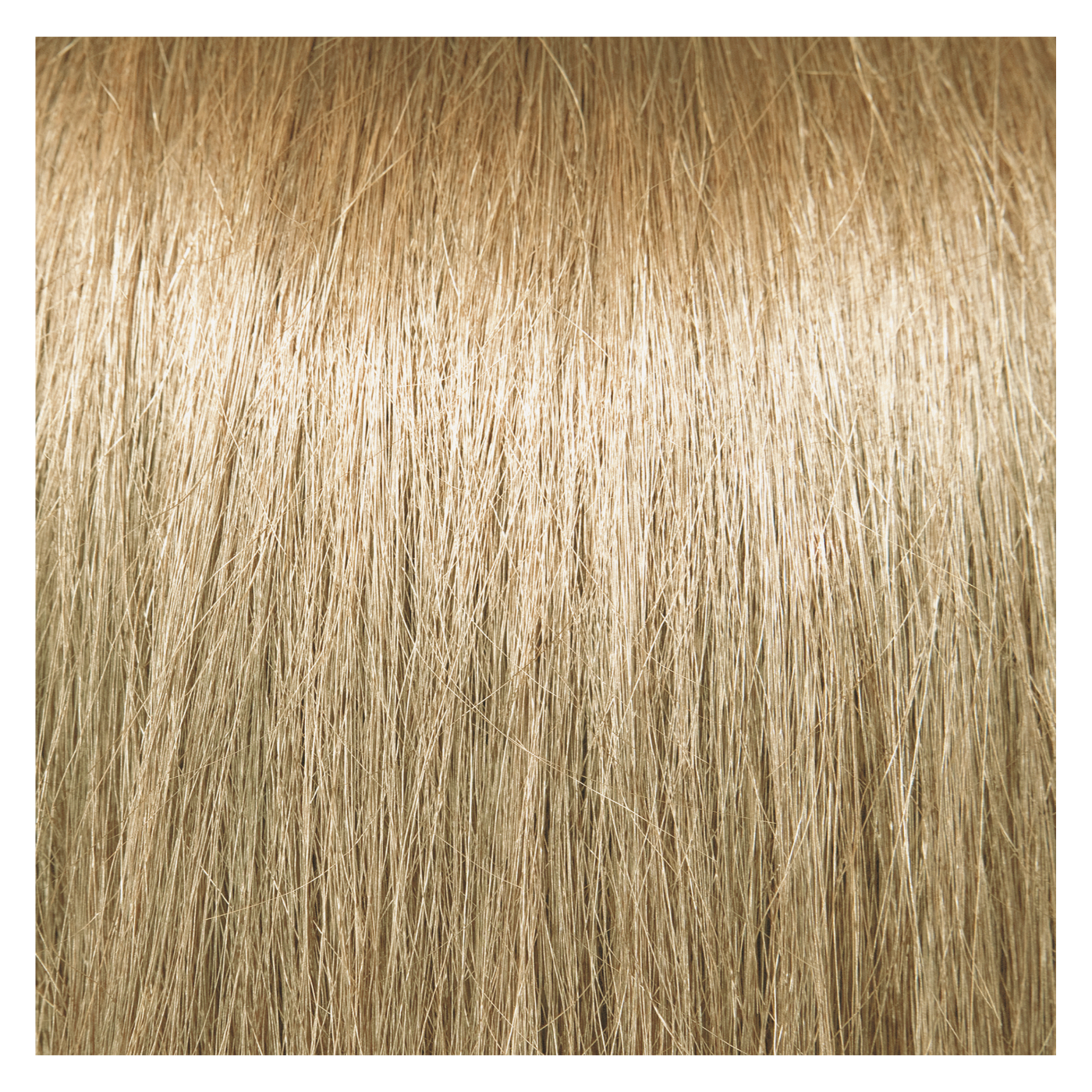 Pravana Colors Chromasilk Permanent Creme Color 10N